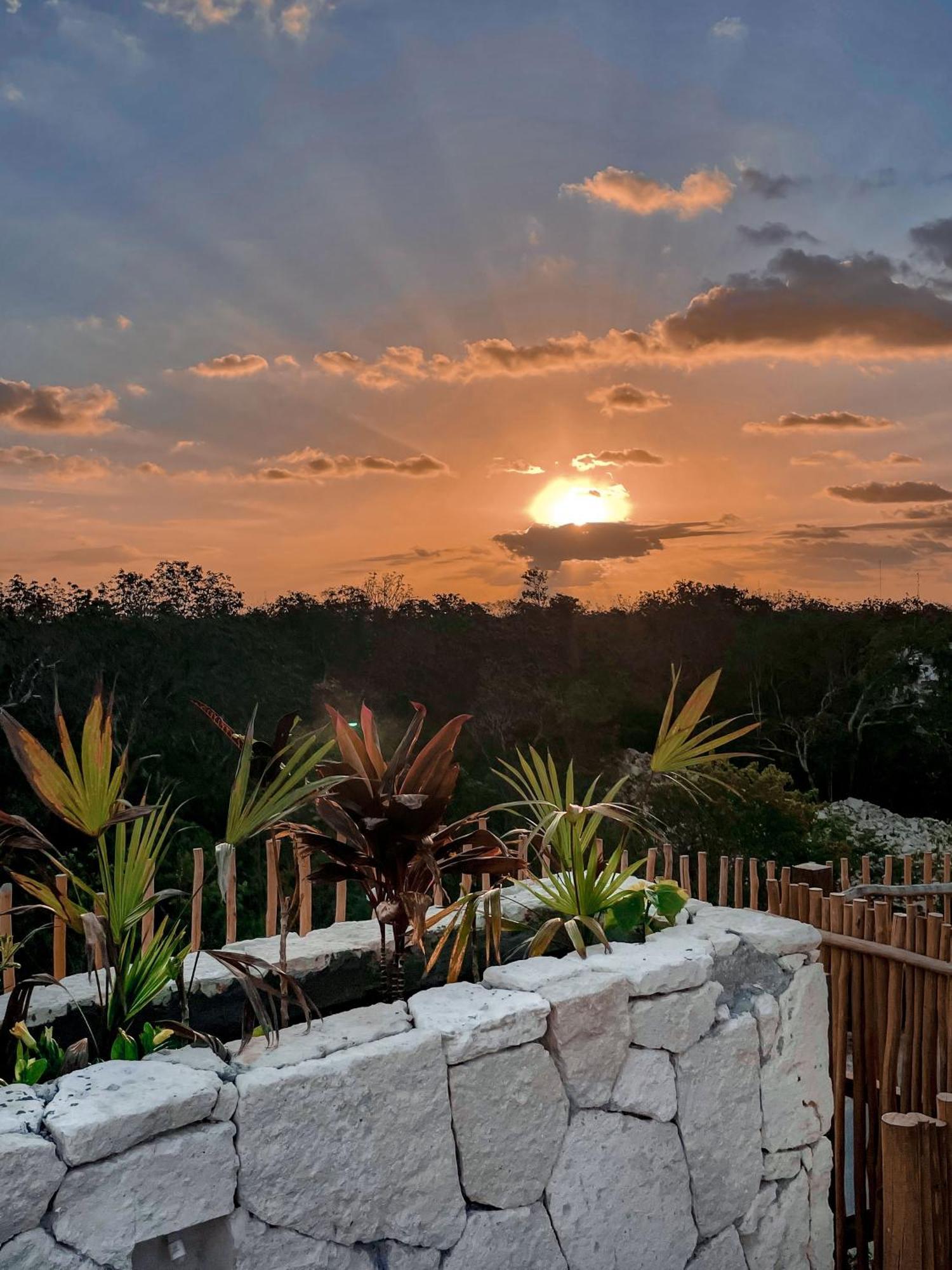 Jungle Boho Designer Apart 11 W50 Off Access Hotel Bardo Тулум Екстер'єр фото